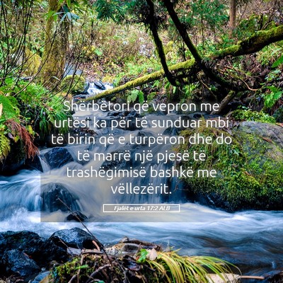 Picture 05 - Fjalët e urta 17:2 ALB - Shërbëtori që vepron me urtësi ka për të - Bible Verse Picture