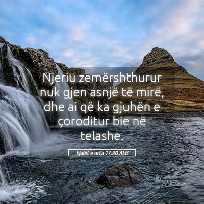 Picture 05 - Fjalët e urta 17:20 ALB - Njeriu zemërshthurur nuk gjen asnjë të mirë, - Bible Verse Picture
