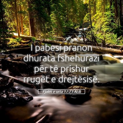 Picture 05 - Fjalët e urta 17:23 ALB - I pabesi pranon dhurata fshehurazi për të - Bible Verse Picture