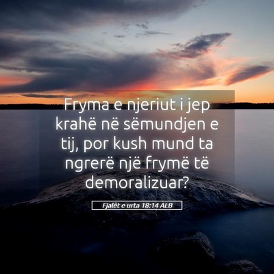 Picture 05 - Fjalët e urta 18:14 ALB - Fryma e njeriut i jep krahë në sëmundjen e - Bible Verse Picture