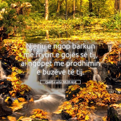Picture 05 - Fjalët e urta 18:20 ALB - Njeriu e ngop barkun me frytin e gojës së tij, - Bible Verse Picture