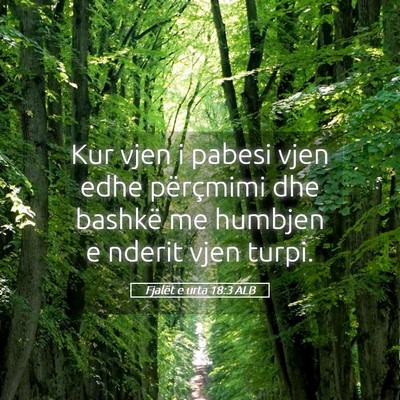 Picture 05 - Fjalët e urta 18:3 ALB - Kur vjen i pabesi vjen edhe përçmimi dhe - Bible Verse Picture