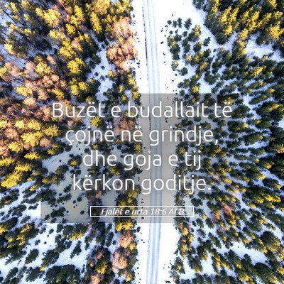 Picture 05 - Fjalët e urta 18:6 ALB - Buzët e budallait të çojnë në grindje, dhe - Bible Verse Picture