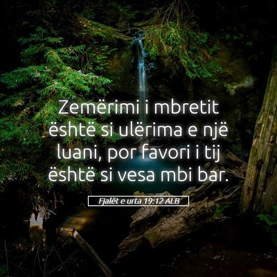 Picture 05 - Fjalët e urta 19:12 ALB - Zemërimi i mbretit është si ulërima e një - Bible Verse Picture