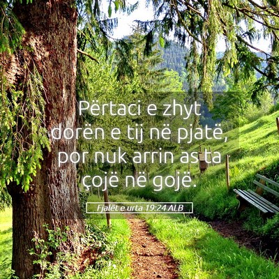 Picture 05 - Fjalët e urta 19:24 ALB - Përtaci e zhyt dorën e tij në pjatë, por nuk - Bible Verse Picture