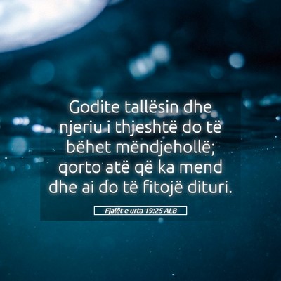 Picture 05 - Fjalët e urta 19:25 ALB - Godite tallësin dhe njeriu i thjeshtë do të - Bible Verse Picture