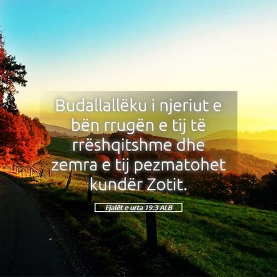 Picture 05 - Fjalët e urta 19:3 ALB - Budallallëku i njeriut e bën rrugën e tij të - Bible Verse Picture