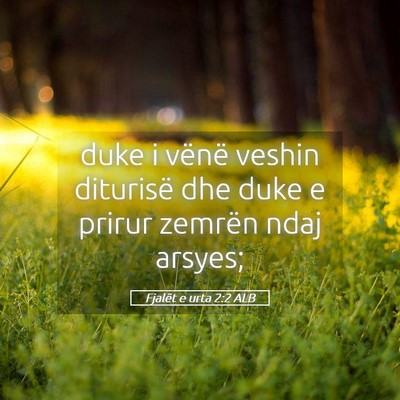 Picture 05 - Fjalët e urta 2:2 ALB - duke i vënë veshin diturisë dhe duke e prirur - Bible Verse Picture