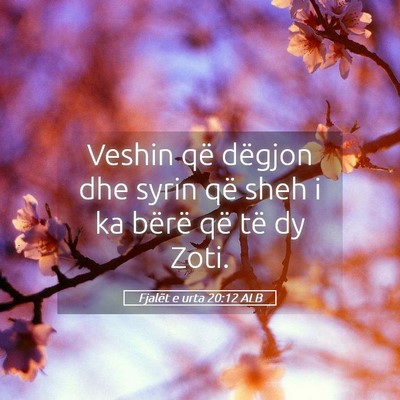 Picture 05 - Fjalët e urta 20:12 ALB - Veshin që dëgjon dhe syrin që sheh i ka bërë - Bible Verse Picture