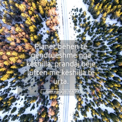 Picture 05 - Fjalët e urta 20:18 ALB - Planet bëhen të qëndrueshme nga këshilla; - Bible Verse Picture