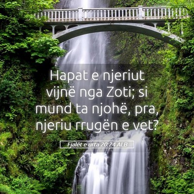 Picture 05 - Fjalët e urta 20:24 ALB - Hapat e njeriut vijnë nga Zoti; si mund ta - Bible Verse Picture