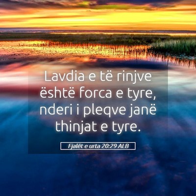 Picture 05 - Fjalët e urta 20:29 ALB - Lavdia e të rinjve është forca e tyre, nderi i - Bible Verse Picture