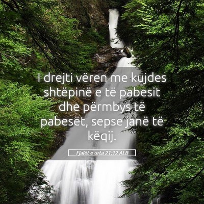 Picture 05 - Fjalët e urta 21:12 ALB - I drejti vëren me kujdes shtëpinë e të - Bible Verse Picture