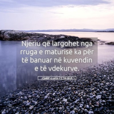 Picture 05 - Fjalët e urta 21:16 ALB - Njeriu që largohet nga rruga e maturisë ka për - Bible Verse Picture