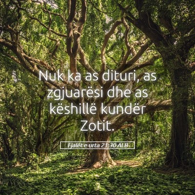 Picture 05 - Fjalët e urta 21:30 ALB - Nuk ka as dituri, as zgjuarësi dhe as këshillë - Bible Verse Picture