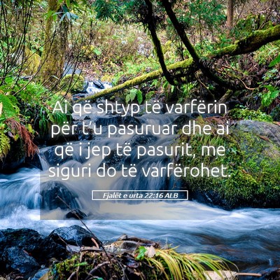 Picture 05 - Fjalët e urta 22:16 ALB - Ai që shtyp të varfërin për t’u pasuruar - Bible Verse Picture