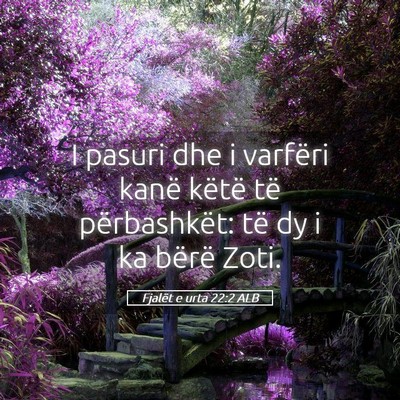 Picture 05 - Fjalët e urta 22:2 ALB - I pasuri dhe i varfëri kanë këtë të - Bible Verse Picture