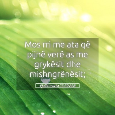 Picture 05 - Fjalët e urta 23:20 ALB - Mos rri me ata që pijnë verë as me grykësit - Bible Verse Picture