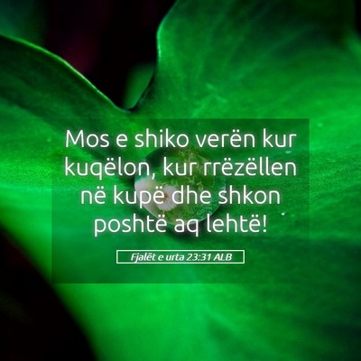 Picture 05 - Fjalët e urta 23:31 ALB - Mos e shiko verën kur kuqëlon, kur rrëzëllen - Bible Verse Picture