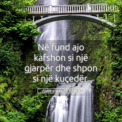 Picture 05 - Fjalët e urta 23:32 ALB - Në fund ajo kafshon si një gjarpër dhe shpon - Bible Verse Picture