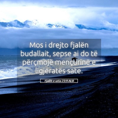Picture 05 - Fjalët e urta 23:9 ALB - Mos i drejto fjalën budallait, sepse ai do të - Bible Verse Picture
