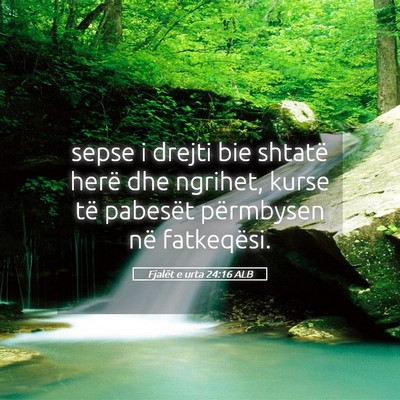 Picture 05 - Fjalët e urta 24:16 ALB - sepse i drejti bie shtatë herë dhe ngrihet, - Bible Verse Picture