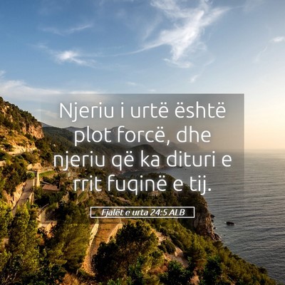 Picture 05 - Fjalët e urta 24:5 ALB - Njeriu i urtë është plot forcë, dhe njeriu - Bible Verse Picture