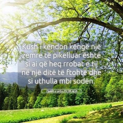 Picture 05 - Fjalët e urta 25:20 ALB - Kush i këndon këngë një zemre të pikëlluar - Bible Verse Picture
