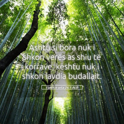 Picture 05 - Fjalët e urta 26:1 ALB - Ashtu si bora nuk i shkon verës as shiu të - Bible Verse Picture