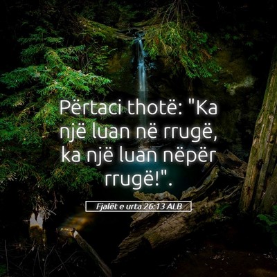 Picture 05 - Fjalët e urta 26:13 ALB - Përtaci thotë: 