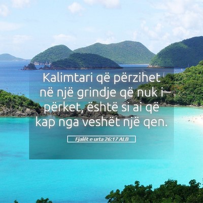 Picture 05 - Fjalët e urta 26:17 ALB - Kalimtari që përzihet në një grindje që nuk - Bible Verse Picture