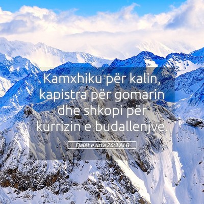 Picture 05 - Fjalët e urta 26:3 ALB - Kamxhiku për kalin, kapistra për gomarin dhe - Bible Verse Picture