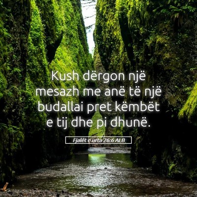 Picture 05 - Fjalët e urta 26:6 ALB - Kush dërgon një mesazh me anë të një - Bible Verse Picture