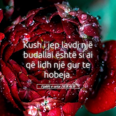 Picture 05 - Fjalët e urta 26:8 ALB - Kush i jep lavdi një budallai është si ai që - Bible Verse Picture