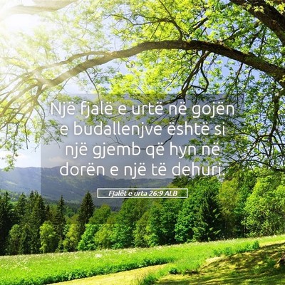 Picture 05 - Fjalët e urta 26:9 ALB - Një fjalë e urtë në gojën e budallenjve - Bible Verse Picture