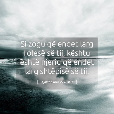 Picture 05 - Fjalët e urta 27:8 ALB - Si zogu që endet larg folesë së tij, kështu - Bible Verse Picture