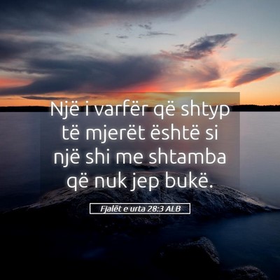 Picture 05 - Fjalët e urta 28:3 ALB - Një i varfër që shtyp të mjerët është si - Bible Verse Picture