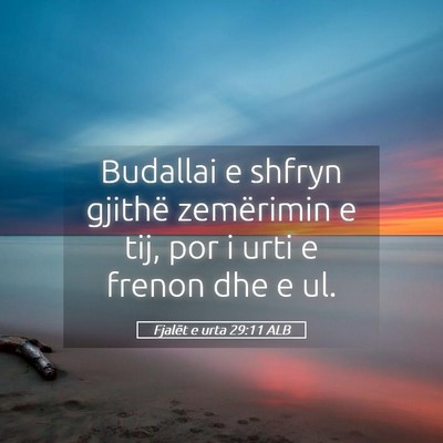 Picture 05 - Fjalët e urta 29:11 ALB - Budallai e shfryn gjithë zemërimin e tij, por i - Bible Verse Picture