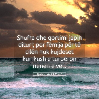 Picture 05 - Fjalët e urta 29:15 ALB - Shufra dhe qortimi japin dituri; por fëmija për - Bible Verse Picture