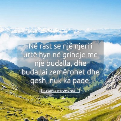 Picture 05 - Fjalët e urta 29:9 ALB - Në rast se një njeri i urtë hyn në grindje me - Bible Verse Picture