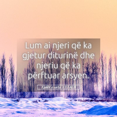 Picture 05 - Fjalët e urta 3:13 ALB - Lum ai njeri që ka gjetur diturinë dhe njeriu - Bible Verse Picture