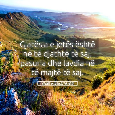 Picture 05 - Fjalët e urta 3:16 ALB - Gjatësia e jetës është në të djathtë të - Bible Verse Picture