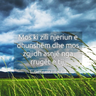 Picture 05 - Fjalët e urta 3:31 ALB - Mos ki zili njeriun e dhunshëm dhe mos zgjidh - Bible Verse Picture