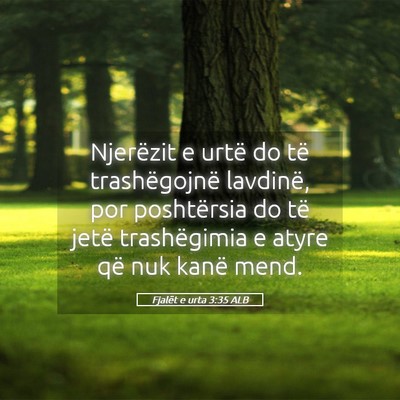 Picture 05 - Fjalët e urta 3:35 ALB - Njerëzit e urtë do të trashëgojnë lavdinë, - Bible Verse Picture