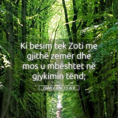 Picture 05 - Fjalët e urta 3:5 ALB - Ki besim tek Zoti me gjithë zemër dhe mos u - Bible Verse Picture