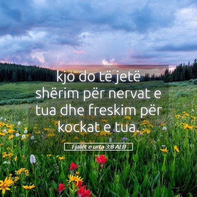 Picture 05 - Fjalët e urta 3:8 ALB - kjo do të jetë shërim për nervat e tua dhe - Bible Verse Picture