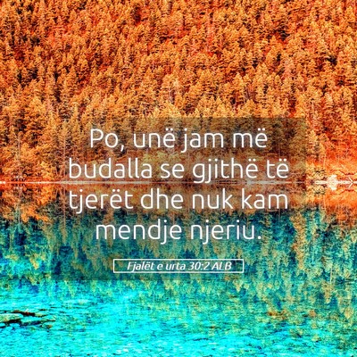 Picture 05 - Fjalët e urta 30:2 ALB - Po, unë jam më budalla se gjithë të tjerët - Bible Verse Picture