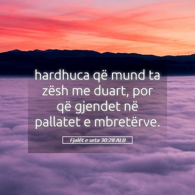 Picture 05 - Fjalët e urta 30:28 ALB - hardhuca që mund ta zësh me duart, por që - Bible Verse Picture