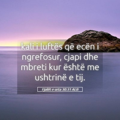 Picture 05 - Fjalët e urta 30:31 ALB - kali i luftës që ecën i ngrefosur, cjapi dhe - Bible Verse Picture