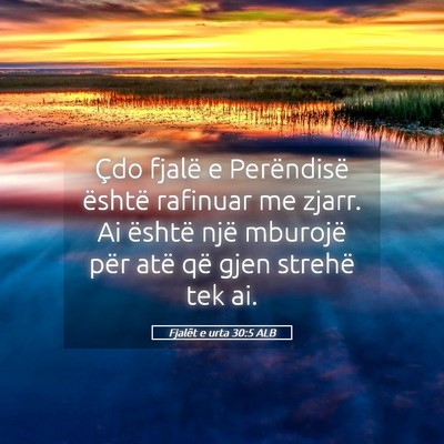 Picture 05 - Fjalët e urta 30:5 ALB - Çdo fjalë e Perëndisë është rafinuar me - Bible Verse Picture